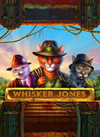Jouez aux meilleurs jeux de 1x2gaming sur 21bit Casino - 21Bit casino