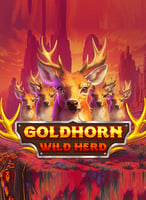 Jouez aux meilleurs jeux de Barbarabang sur 21bit Casino - 21Bit casino