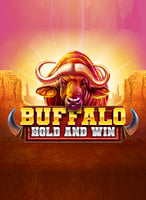 Beste online kasinospill | Spill kasinospill online - 21Bit casino