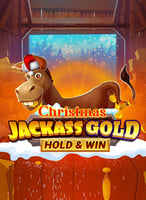 Pelaa parhaita Novomatic -pelejä 21bit Casinolla - 21Bit casino