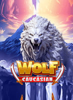 Caucasian Wolf