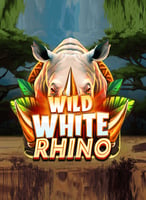 Spielen Sie die besten Penguinking  Spiele bei 21bit Casino - 21Bit casino