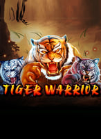 Spielen Sie die besten Spadegaming  Spiele bei 21bit Casino - 21Bit casino