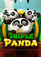 Spielen Sie die besten Spadegaming  Spiele bei 21bit Casino - 21Bit casino