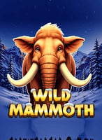 Spielen Sie die besten Retrogaming  Spiele bei 21bit Casino - 21Bit casino