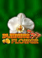 Play the Best Technology Games at 21bit Casino - 21Bit casino