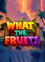 Play the Best Reelplay Games at 21bit Casino - 21Bit casino
